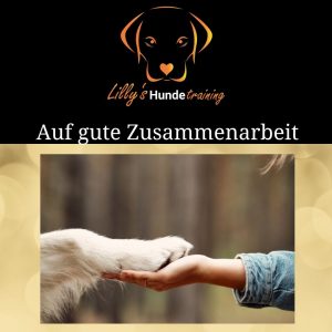 AGB Lillys-Hundetraining